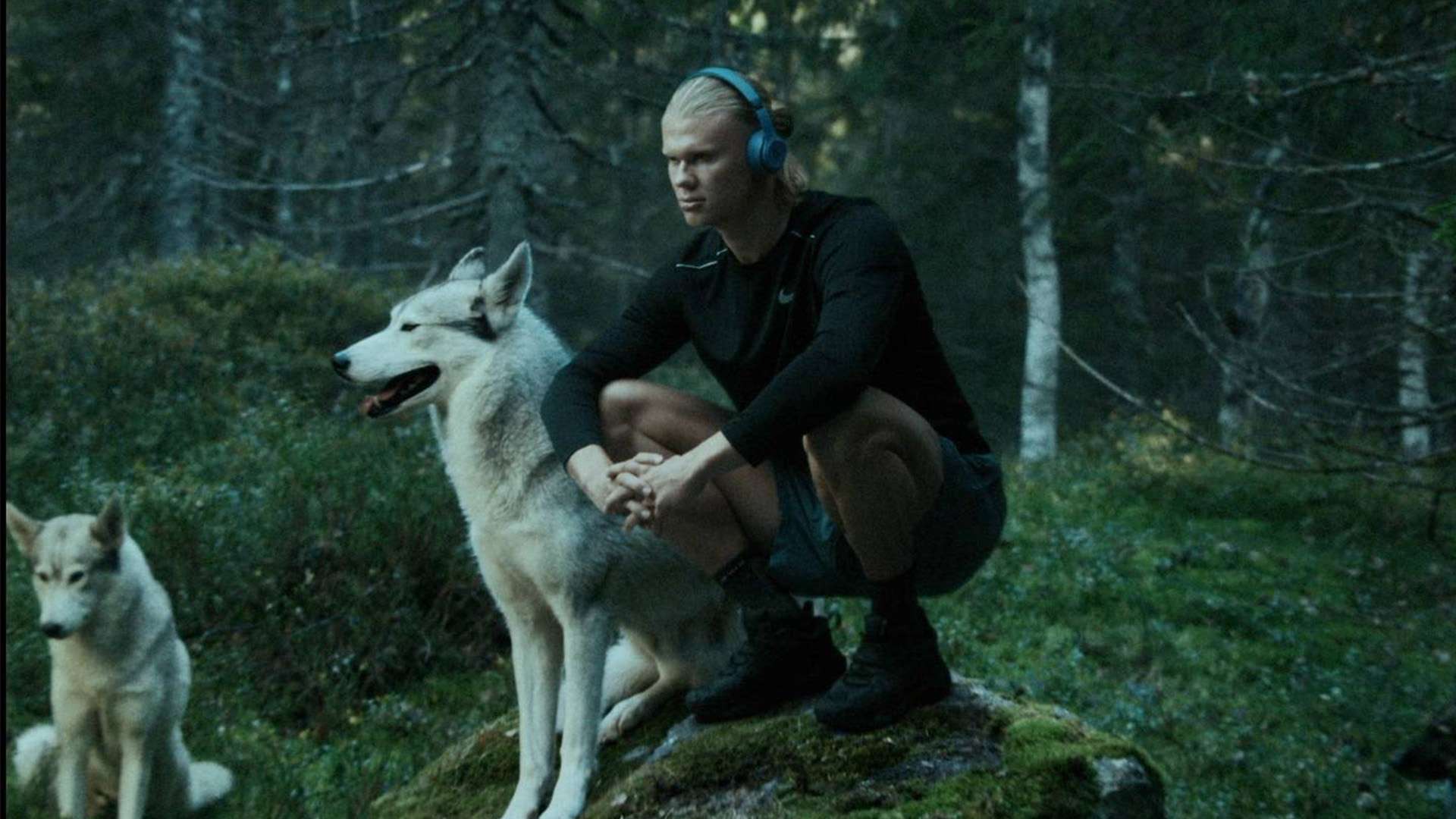 德国队在历 德国队在历