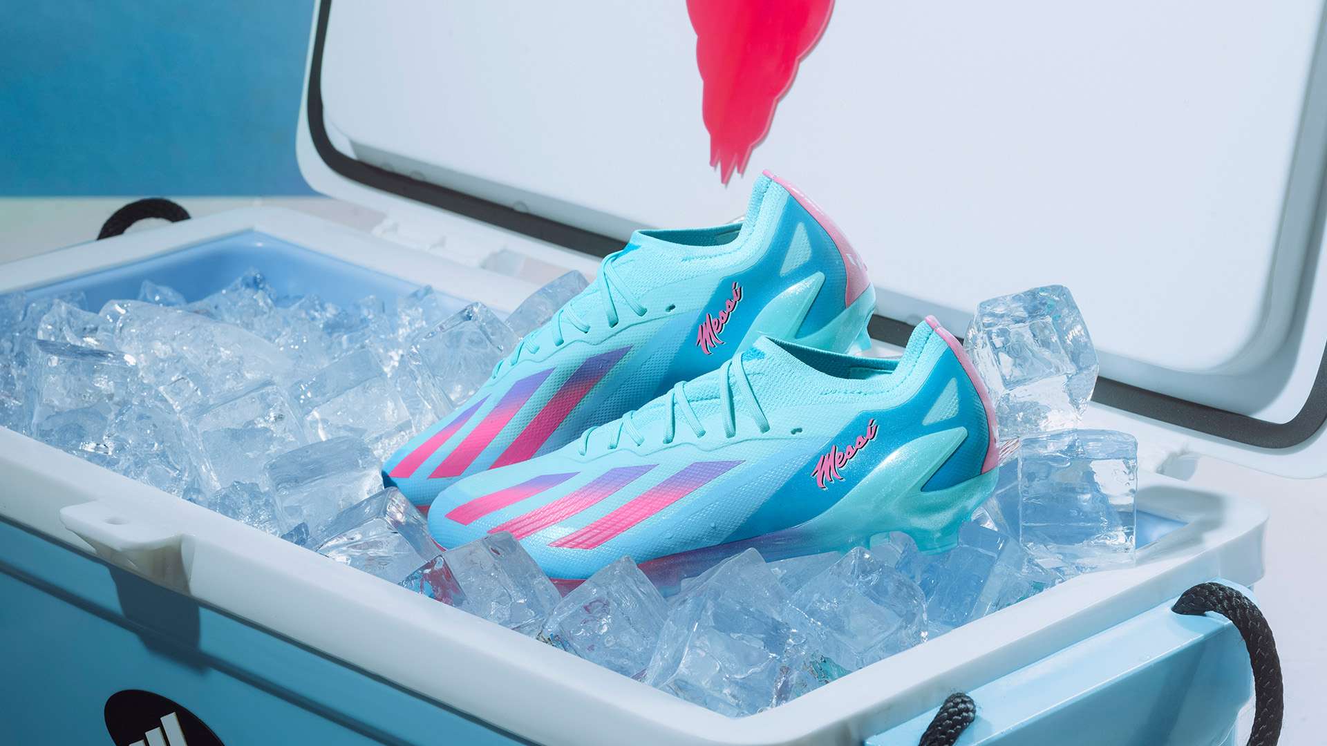 马充分利用 马充分利用